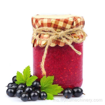 Blueberry Nanas Puree Fruit Jam Making Mesin